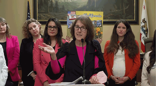 Woman's Caucus announced 17 bills on reproductive freedom