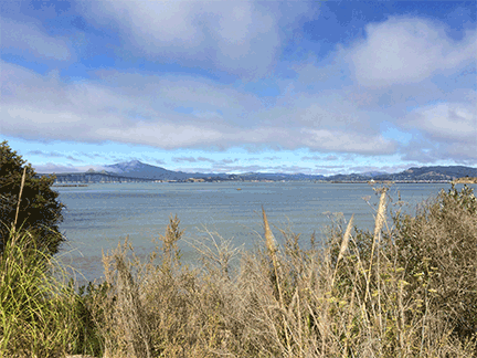 East Bay Regional Park District Board Takes Action to Acquire Point Molate